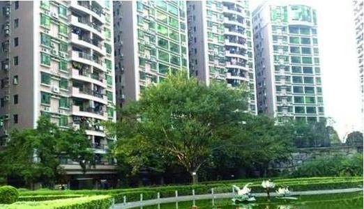 �V���A���³�